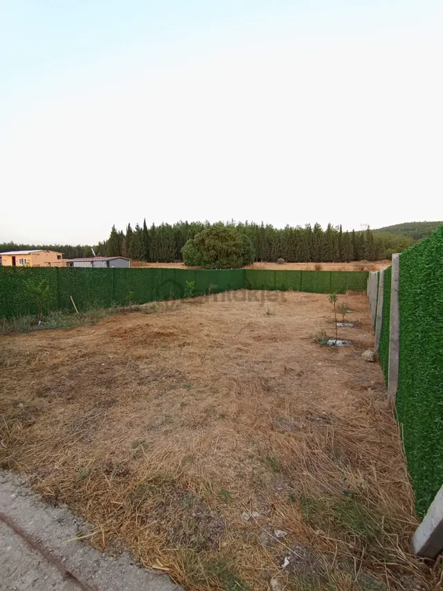 Acill Menderes Gölcükler Mevkisinde 300m2 Etrafı Çevrili Resmi Hisse Tapulu Bahçe Tarla