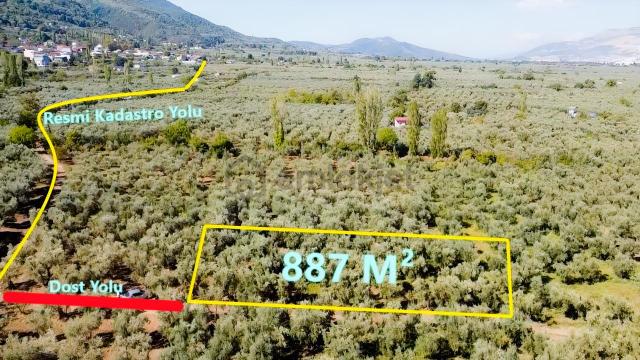 Beka Gayrimenkul'den 887 M² Bakımlı Ve Bahçeye Uygun Zeytinlik