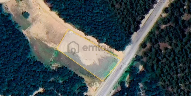 Muğla Menteşe Fadılca'da Yola Cepheli Satılık Tarla 1