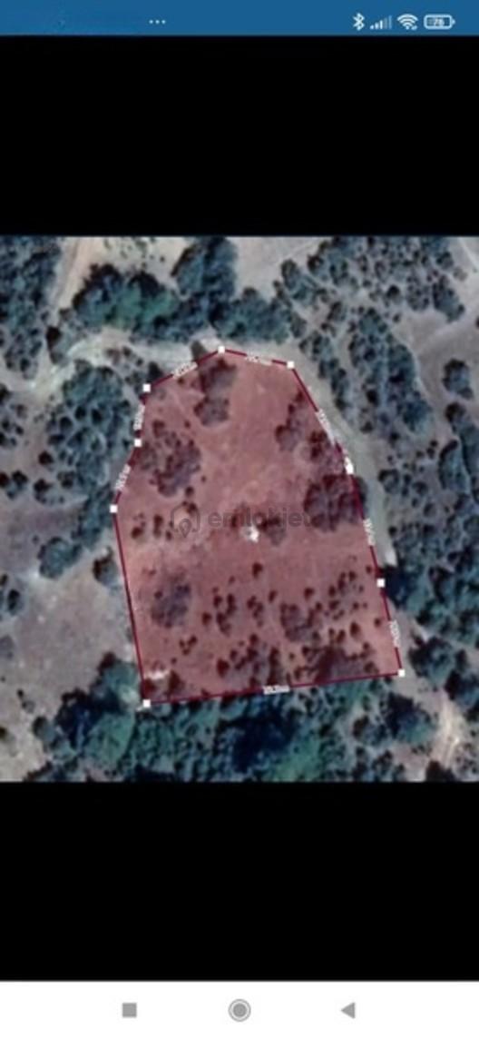 Bademlik'de Kadastro Yoluna 115 Metre Cephe Satılık Tarla