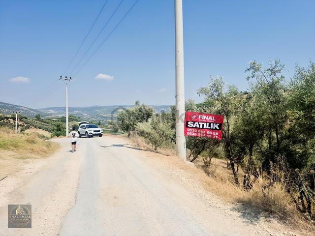 **acil**tek Tapu,çakırlı Mah.de Tapu 1.114m² Satılık Tarla 1