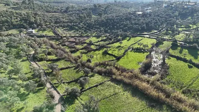 Mustafa Kayaalp'ten Yeniköy(karaova) Satılık Bahçe 1