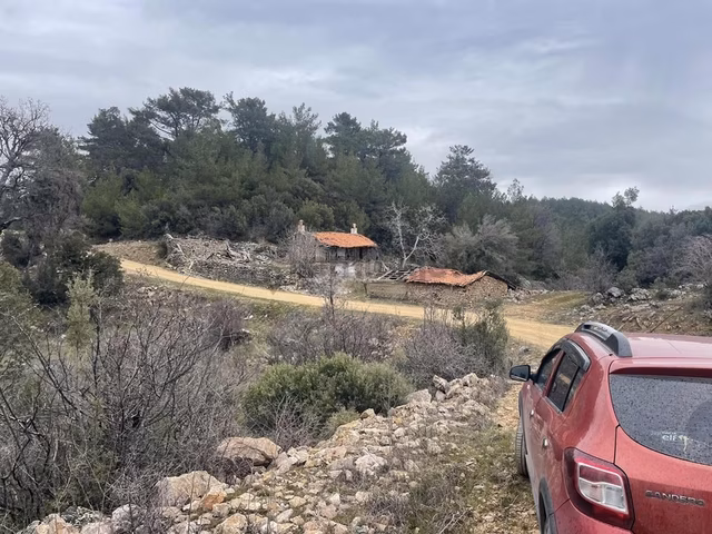 Muğla Ula Gölcük De 1.180 M2.müstakil Tarla Satılık.