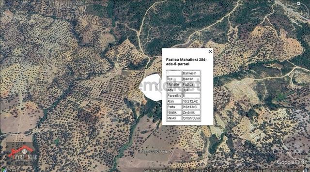 !!!fırsat Havran Fazlıcada Satılık 10.212 M2 Zeytinlik!!!! 1