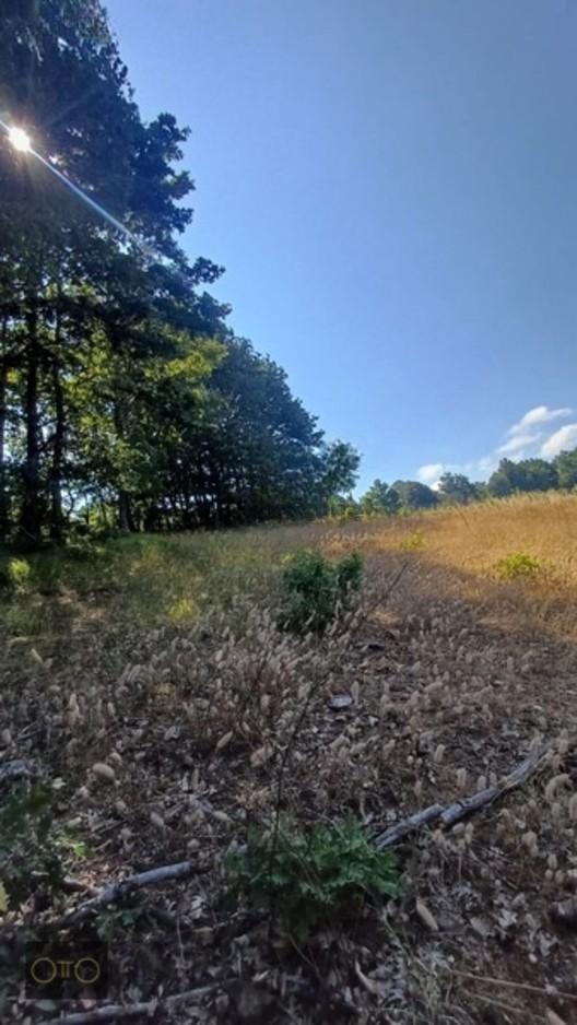 Bursa Mustafakemalpaşa'da Sanayiye Yakın Yolu Olan Tarla