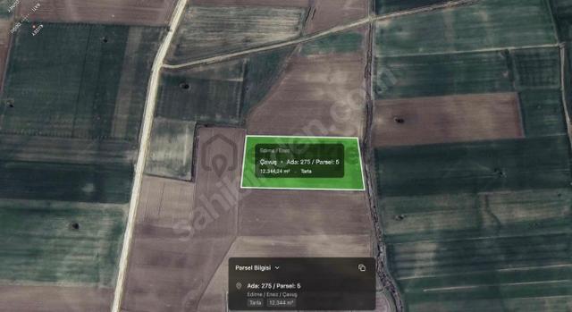 Acil! Edirne Enez Çavuşköy'de 12.344m² Uygun Fiyatlı Tarla 1