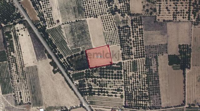 Yalvaç İlçesin'de Yukarıkaşıkara Köyün'de 5196m2 Satılık Tarla