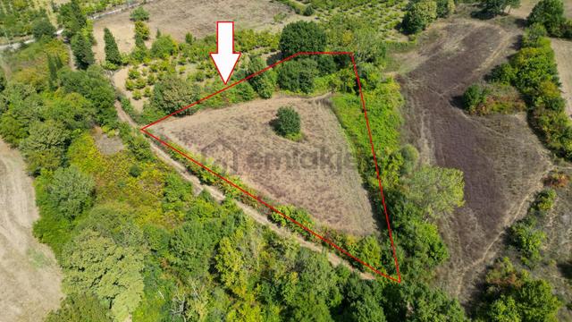 Uzmanlar'dan Yalakdere Satılık 5519 M2 Satılık Tarla 1
