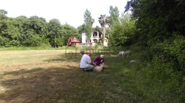 Mugla, Köycegiz Mah. 1053 M2 Bahceli Müstakil Evimiz Yeni Sahibini Bekliyor. 1