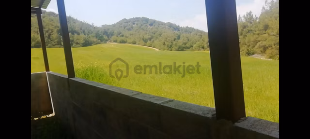 6007 Tek Tapu 10 Dönüm Hazine Toplam 16 Dönüm