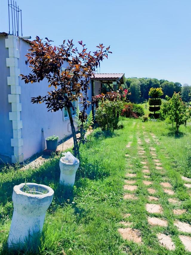 Taşlıgeçit Mahallesinde 2 Dönüm Arsa İçinde Müstakil Ev 1