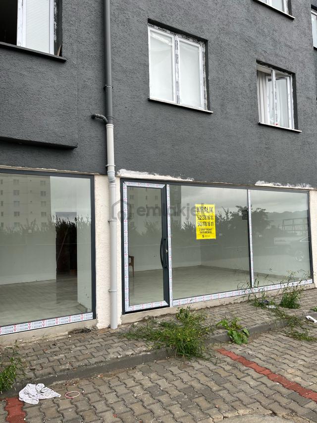 Fatsa Kurtuluş Mahallesi’nde 75 M² Kiralık Dükkan | Depo & Market Kullanımına Uygun 1