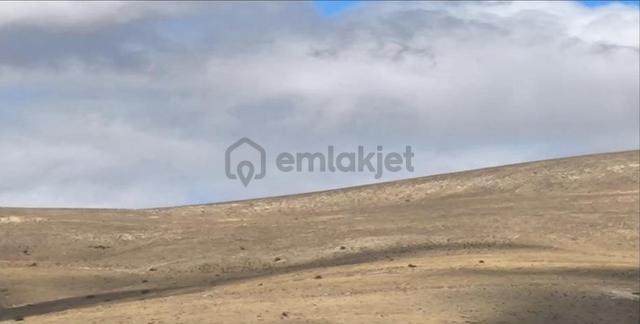 Kadastral Yolu Olan Proje, Çiftlik, Ahır Ve Ev Yapımına Uygun 1