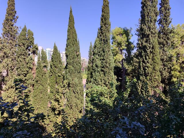 Yeşılbahçe'de Paşakavaklar Caddesı'nde 3+1 Gdb Cephelı Satılık Daıre 1