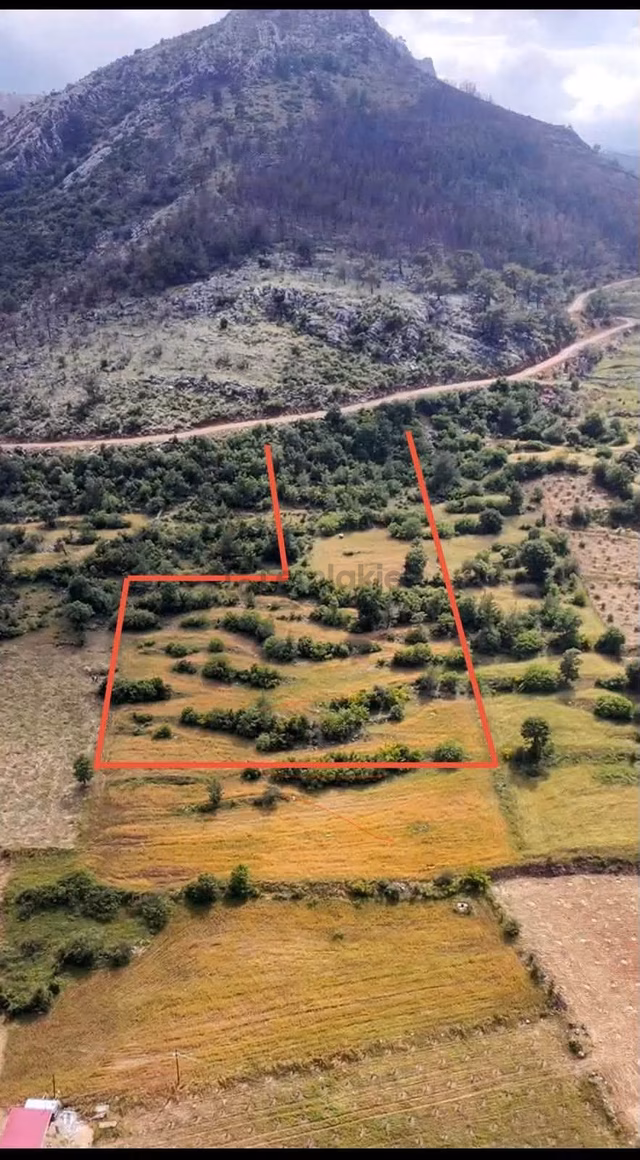 Silifke/imamuşağı Satılık 8.950m2 Tarla 1