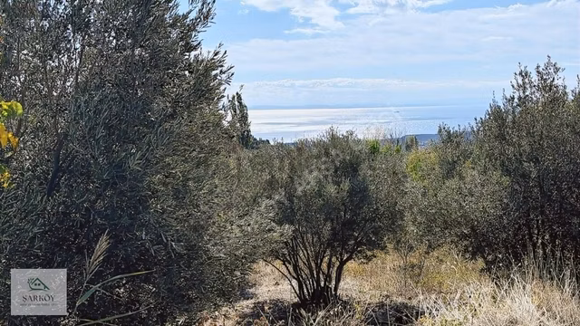 Köy Yanında, İmar Sınırında Harika Deniz Manzaralı Bağ 1