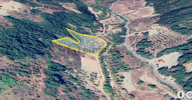 Seda Terzioğlundan Geyvede Satılık Bağ Evi Ve Arsası 9.946 M2 1