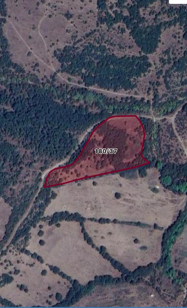 Bayramiç Muratlar Köyü'nde Yola Yakın 13.500 M2 Satılık Tarla 1