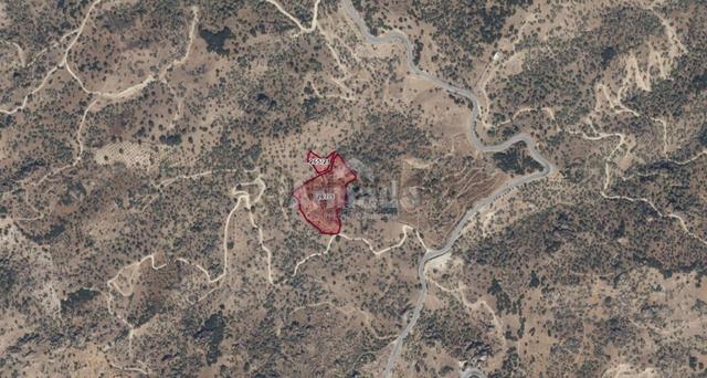 Aydın Koçarlı Gözkaya Mahallesi'nde Satılık Zeytinlik Arazisi 1