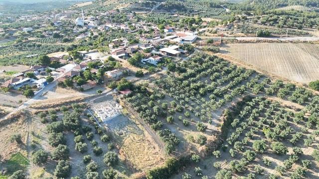 İmarlı Arsa Vasfında Zeytinlik Ev Yapılabilinir 1