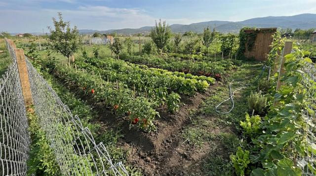 Akyurt Merkeze Yürüme Mesafesi Elektrik-su Yerleşik Hobi Bahçesi 1