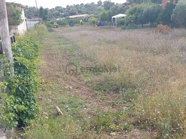 Fethiye Kargı Mah.de Kadastrol Yola Sıfır Satılık 1320m2 Arazi 1