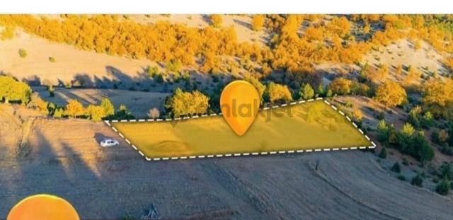 Bolu Göynük Çapar' Da Satılık 2.373 M2 Tarla 1