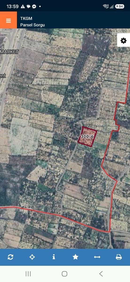 Nehirden Buharkent Kamilpaşada Satılık Zeytinlik 1