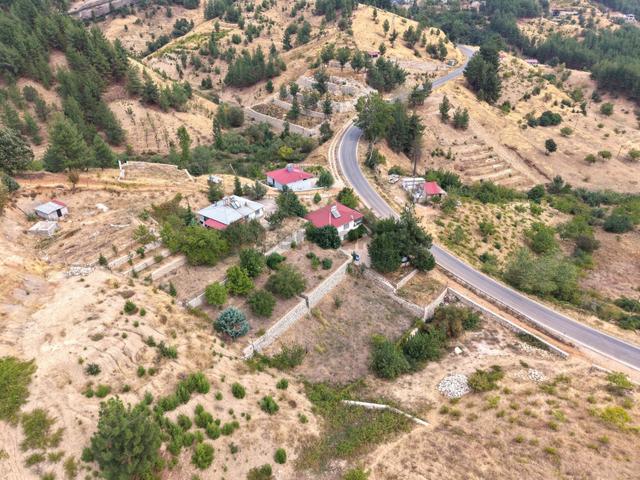 Yeni Rota'dan Tekir Alaçayır'da Ana Yol Kenarı Satılık Bağ 1