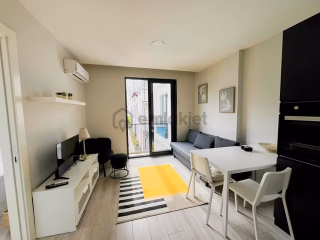 Stüdio Canyon'da Şık İkea Tarzı Farkıyla Kiralık Daire 1