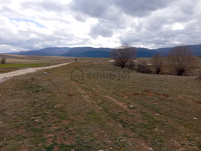 Kütahya Merkez Yoncalı 2.397 M2 Satılık Tarla 1