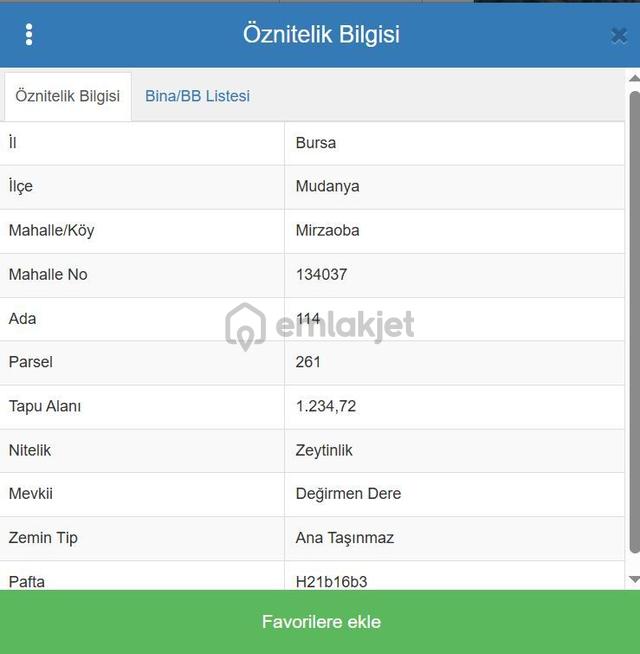 The Point Gayrimenkul 'den Mudanya Mirzaoba’da 1.234 M² Satılık Zeytinlik 1