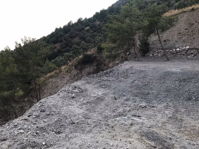 Sahibinden Aydın Efeler Ambarcık Mevkii Bağ Bahçe 1