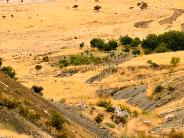 İmar Yakınında Satılık 4.500 M2 Satılık Müstakil Tapulu Bağ 1