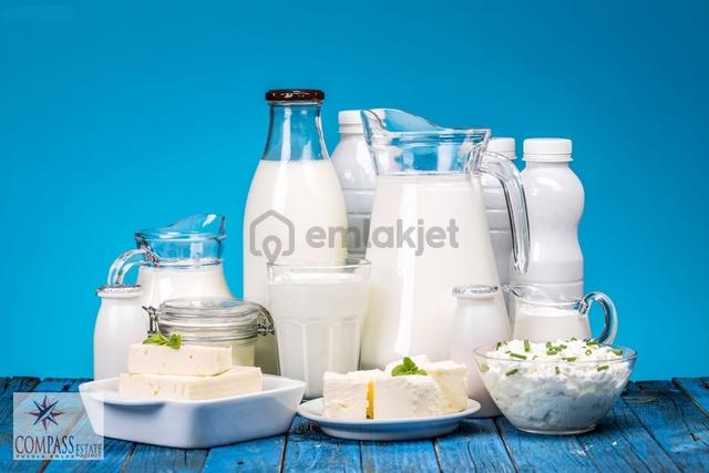 Şanlıurfa'da Kiralık Aktif Süt Ve Süt Ürünleri Fabrikası 1