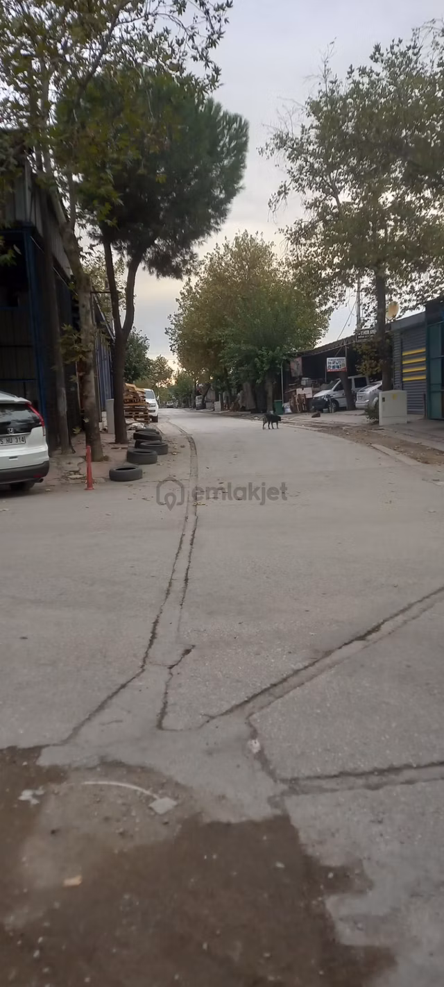 Sahibinden Kiralık Tekli Dükkan 1
