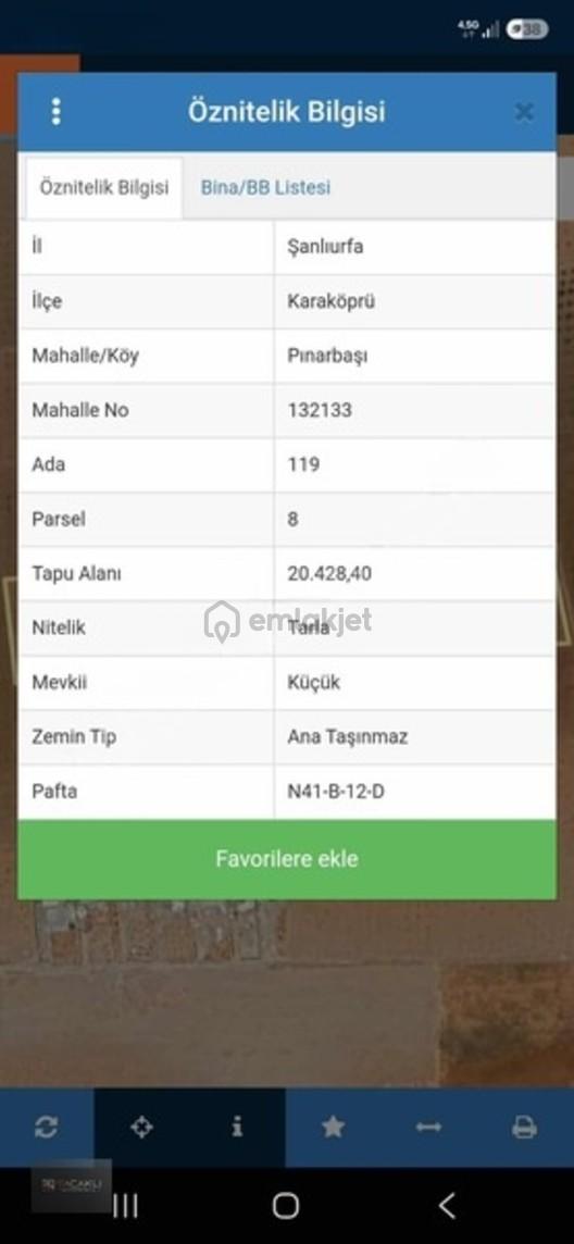 Kadir Saçaklıda Şehre Yakın Fıstıklık 1
