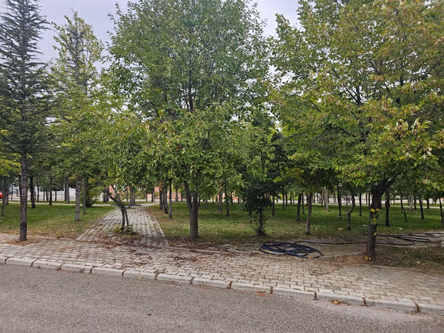 Isparta Işıkkent'te 6+1 Geniş Bahçeli Müstakil Ev 1
