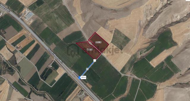 Bünyan Yavuzselim'de Tek Tapu 48.480 M2 Satılık Sulu Tarla 1