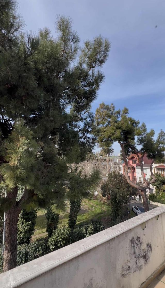 Florya Basınköy'de Satılık Ormana Açılan Bahçeli Villa 1