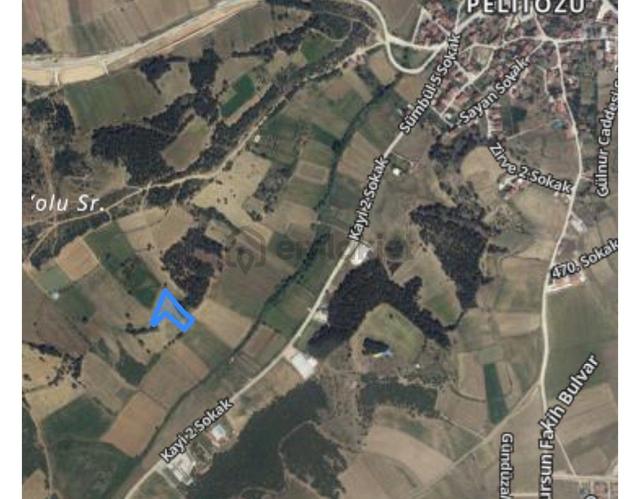 Pelitözü Gölpark Yolu Üzerinde Satılık Hisseli Tarla