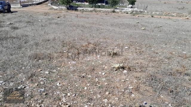 Seydikemer Yayla Ceylan'da 1550 M2 Tarla Açıklamayı Okuyun 1