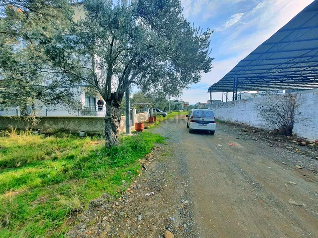 Uytundan Zeytinlide Yola Cepheli %30 İmarlı Satılık Villa Arsası 1
