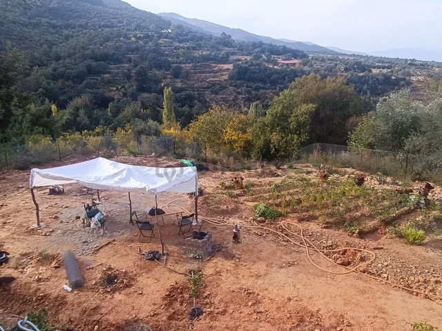 Karacasu Gürlek Yaylası'nda Manzaralı, Meyve Ağaçlı Bahçe 1