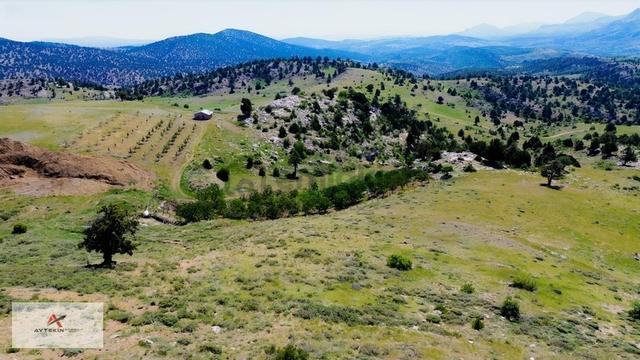 Bahçelerin Yanında 1.481 M² Müstakil Tapu Bahçelik Tarla 1