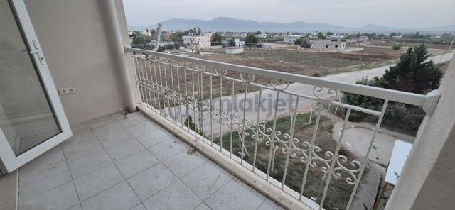 Suluca Tokide Borçsuz Aciil Satılık 1