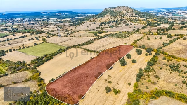 Kerimden Ayvacık Sapanca 12.812 M² Kadastro Yollu Tek Tapu Tarla 1