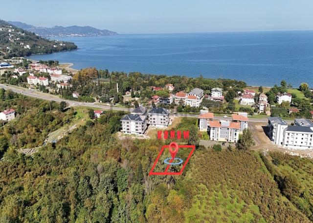 Ordu Perşembe Efirli Satılık Arsa - Anayol Ve Sahile Yakın 1