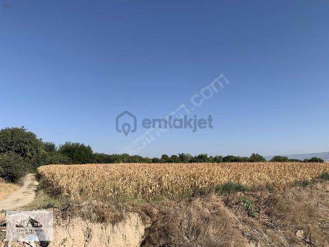 Merkezefendi Eskihisarda Köşe Konumda 5.157 M² Arsa | Yatırımlı 1