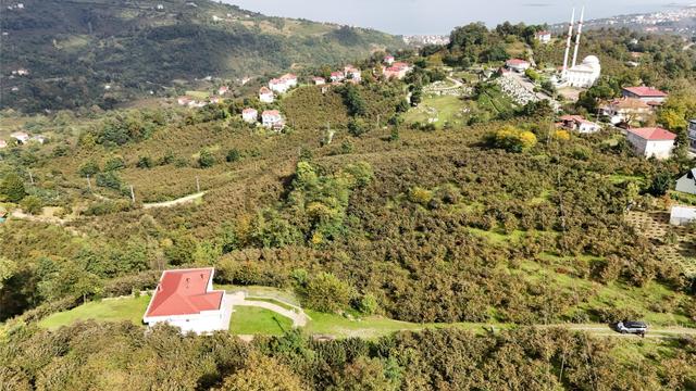 Ordu Perşembe Beylide Deniz Manzaralı 1.500 M² Satılık Arazi 1